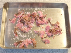 KBX-A100 で作る桜の塩漬けと粒あんのバターケーキのレシピ