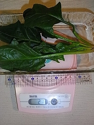 ほうれんそうのグラタンの簡単レシピ