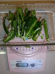 野菜たっぷりの焼きウドンの簡単レシピ