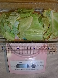 野菜たっぷりの焼きウドンの簡単レシピ