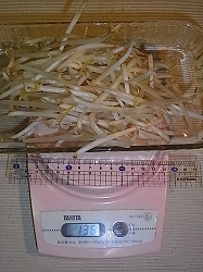 野菜たっぷりの焼きウドンの簡単レシピ