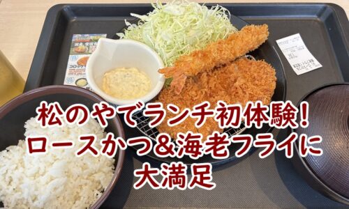 松のやでランチ体験！初めてのロースかつ＆海老フライに大満足