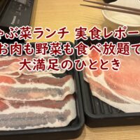しゃぶ菜ランチ 実食レポート！お肉も野菜も食べ放題で大満足のひととき