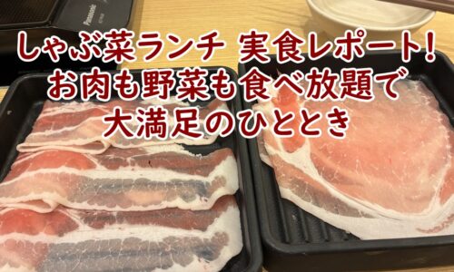しゃぶ菜ランチ 実食レポート！お肉も野菜も食べ放題で大満足のひととき