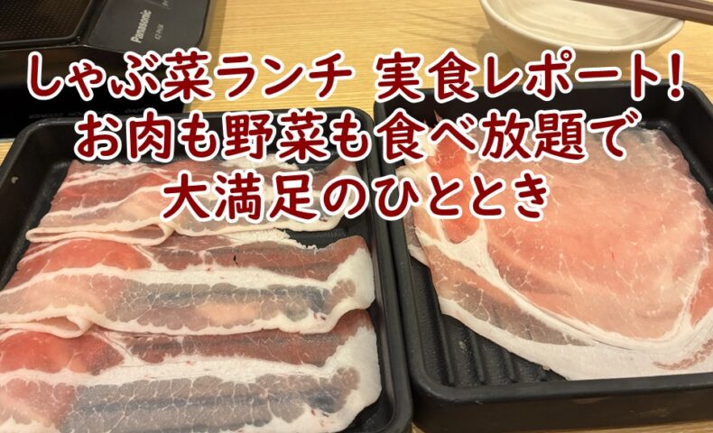 しゃぶ菜ランチ 実食レポート！お肉も野菜も食べ放題で大満足のひととき