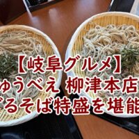 【岐阜グルメ】「じゅうべえ 柳津本店」でざるそば特盛を堪能!コスパ最強の涼味体験